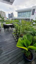 Belle Vue Residences (D9), Condominium #444484891